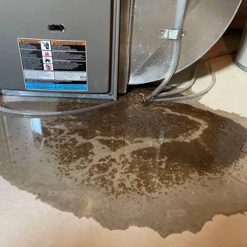 Appliance Leak Cleanup in Van Horn, TX